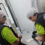 Com apenas uma irregularidade encontrada, análise de DNA de peixes confirma alta confiabilidade do mercado de pescado em Santa Catarina