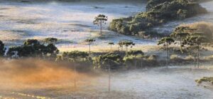 Com geada no amanhecer desta terça-feira, Serra Catarinense registra a temperatura mais baixa do ano até agora em SC