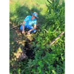 Epagri leva Prêmio Expressão de Ecologia por projeto de proteção e recuperação de nascentes 