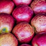 Exportação de frutas cresceu 26% no primeiro trimestre de 2025