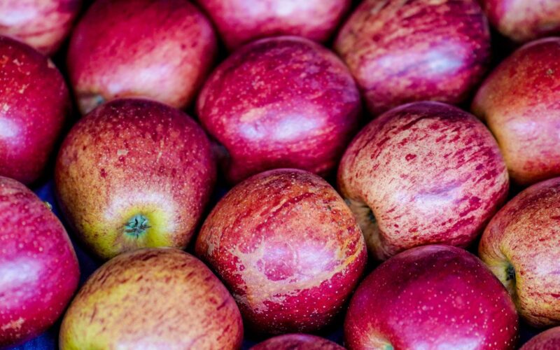 Exportação de frutas cresceu 26% no primeiro trimestre de 2025