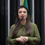 Comissão discute criação do Dia Nacional do Alho Brasileiro - Notícias