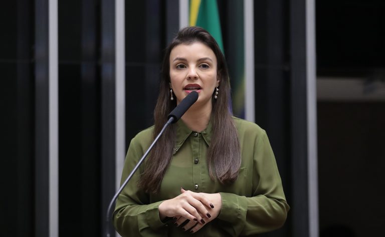 Comissão discute criação do Dia Nacional do Alho Brasileiro - Notícias