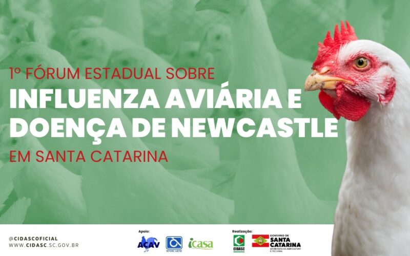 AVISO DE PAUTA: Santa Catarina promove o 1º Fórum Estadual sobre Influenza Aviária e Doença de Newcastle nesta terça