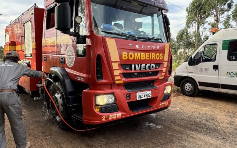 Barreiras sanitárias contra a gripe aviária são reduzidas no RS