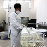Câmara entrega no dia 10 de junho premiação que valoriza o trabalho das mulheres cientistas – Notícias