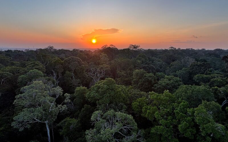 Começa hoje em Brasília a 5ª Conferência Nacional do Meio Ambiente