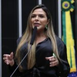 Comissão aprova suspensão por seis meses da CNH e de linhas telefônicas de quem fizer pichação - Notícias