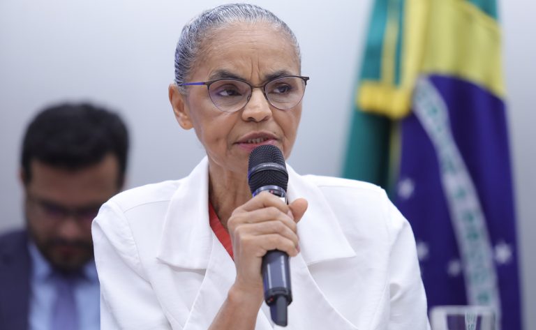 Comissão de Agricultura ouve ministra Marina Silva sobre índice de queimadas e de desmatamento - Notícias