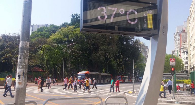 Comissão de Meio Ambiente discute instalação de usina termelétrica no entorno de Brasília - Notícias