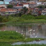 Comissão debate os 10 anos da encíclica "Laudato Si" sobre meio ambiente - Notícias