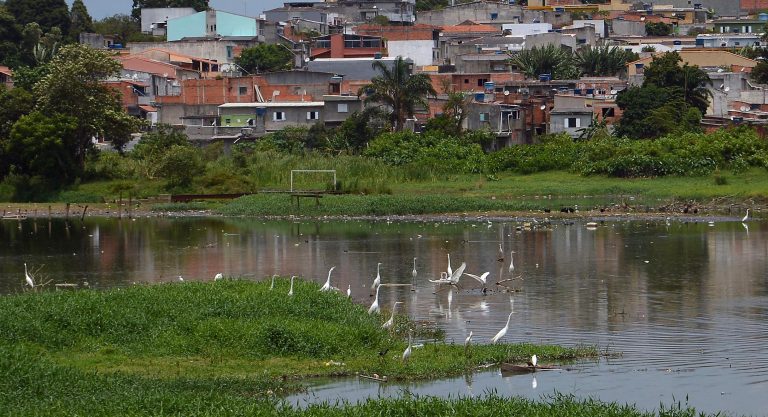 Comissão debate os 10 anos da encíclica "Laudato Si" sobre meio ambiente - Notícias