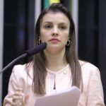 Comissão discute criação do Dia Nacional do Alho Brasileiro – Notícias