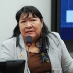 Comissão recebe presidente da Funai para discutir invasões de terras no extremo sul da Bahia - Notícias