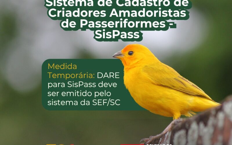 Comunicado: emissão de DARE para licenciamento no SISPASS deve ser feito em sistema da Fazenda