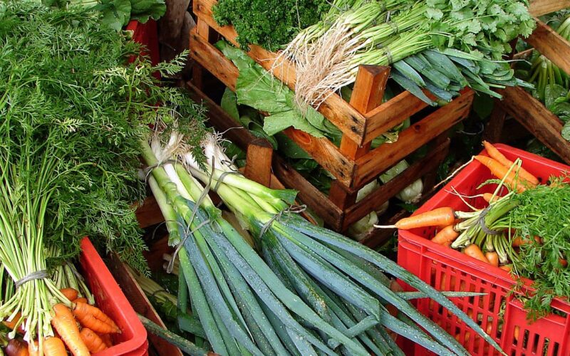 Custo de cesta básica ideal para uma pessoa chega a R$ 432 em abril