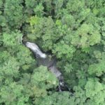 Desmatamento em Santa Catarina reduz 40% entre 2023 e 2024