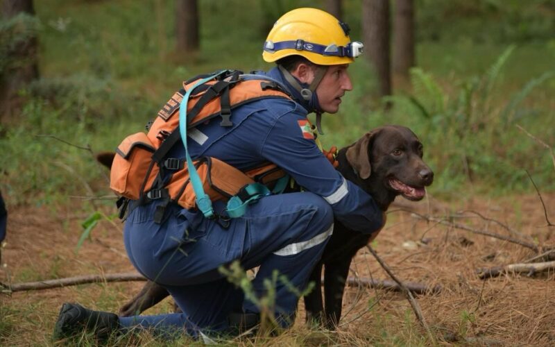 Dupla catarinense formada por bombeiro militar e cão de busca possui o maior número de certificações nacionais ativas do país