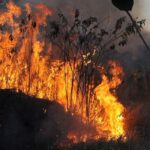 Ibama multa 242 pessoas por incêndios criminosos em 2024