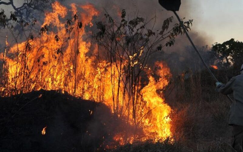 Ibama multa 242 pessoas por incêndios criminosos em 2024