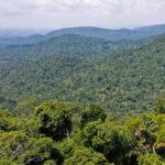 Instituto lança edital para projetos que protejam a Amazônia