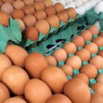 MG descarta preventivamente 450 toneladas de ovos férteis vindos do RS