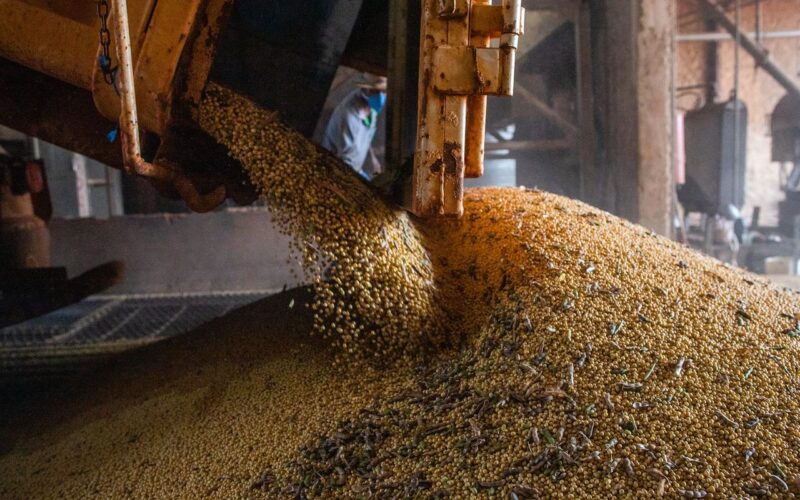 PIB atinge patamar recorde pelo 14º trimestre seguido