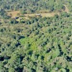 Parque Estadual das Araucárias completa 22 anos de preservação e história