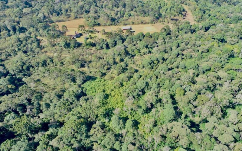 Parque Estadual das Araucárias completa 22 anos de preservação e história