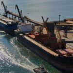 Pecuária lidera exportações do agro catarinense em 2024, com destaque para carne de frango e suína