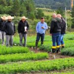 Pesquisa com pastagens transcende gerações de cientistas na Epagri em Lages