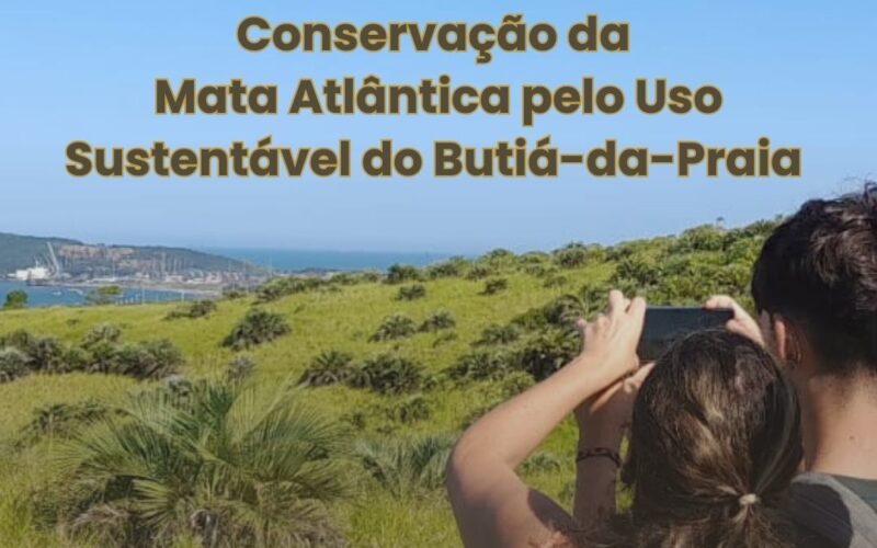 Porto de Imbituba promove workshop sobre conservação da Mata Atlântica e sustentável do Butiá-da-Praia