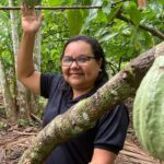 Potencial para bioeconomia atrai investimentos na Amazônia