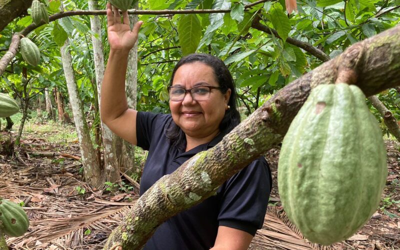 Potencial para bioeconomia atrai investimentos na Amazônia
