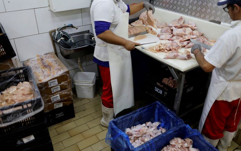 Prazo de 28 dias para Brasil ficar livre da gripe aviária começa hoje