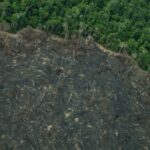Projeto “implode” licenciamento ambiental no Brasil, diz especialista