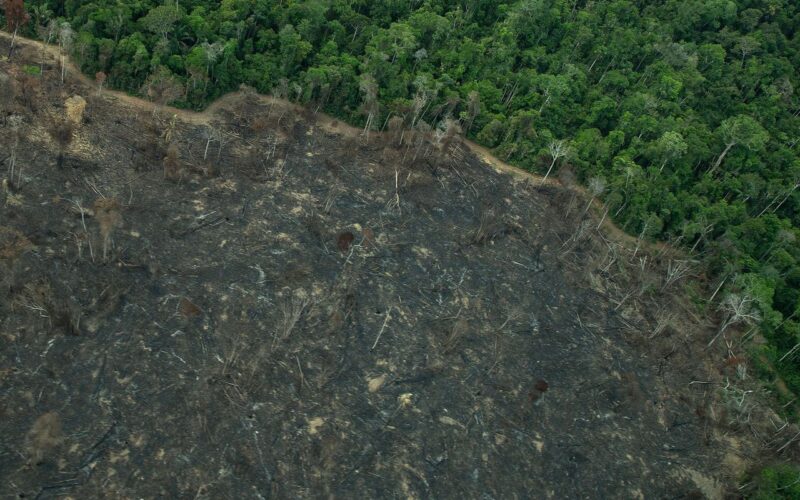 Projeto “implode” licenciamento ambiental no Brasil, diz especialista
