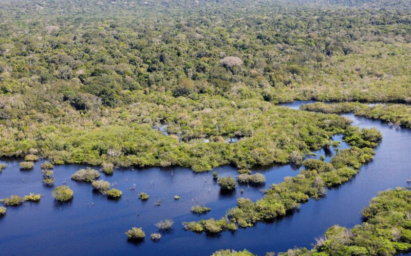 Quase todos os biomas registraram redução do desmatamento em 2024