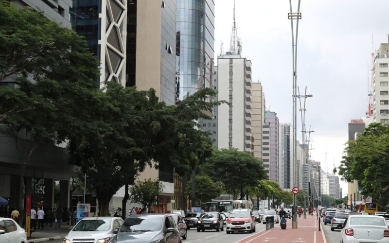 Sábado tem temperaturas em elevação na cidade de São Paulo