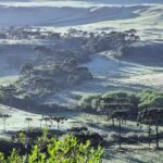 Santa Catarina pode registrar a primeira neve de 2025 nesta semana