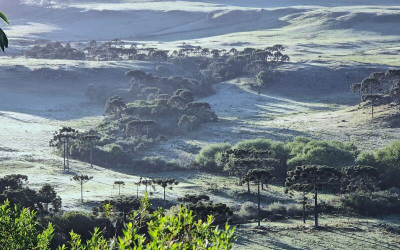 Santa Catarina pode registrar a primeira neve de 2025 nesta semana