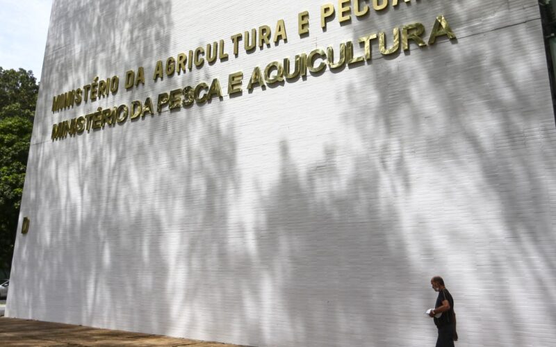 Sete casos de doenças respiratórias em aves são investigados no país