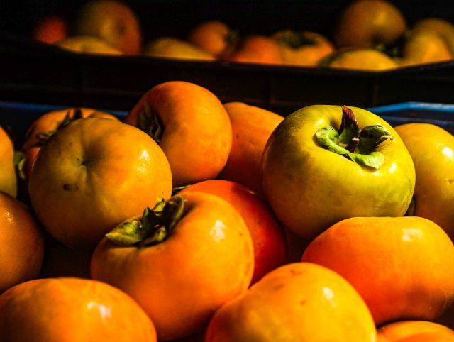 Supersafra de caqui em SC coloca frutos de qualidade no mercado
