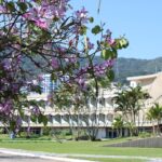 Udesc completa nesta terça 60 anos de trajetória dedicada ao ensino superior