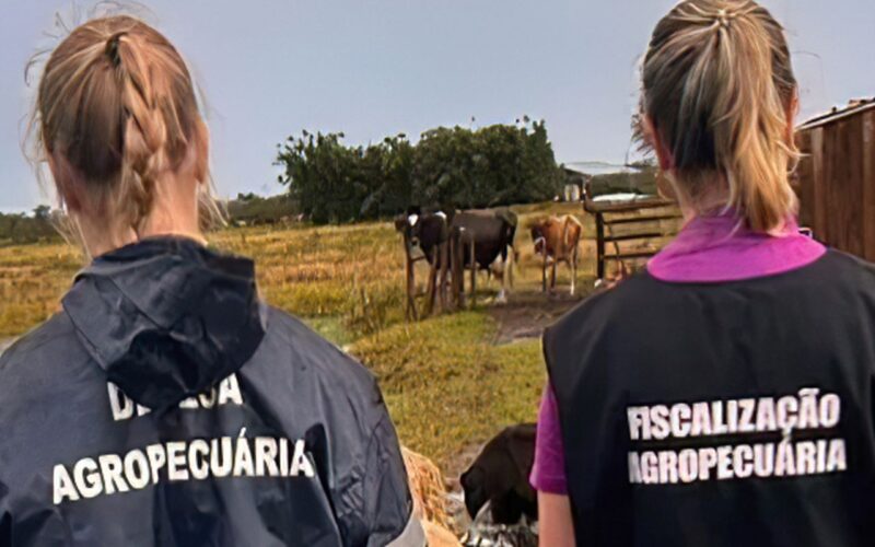 Zoológico de Brasília é fechado após suspeita de gripe aviária