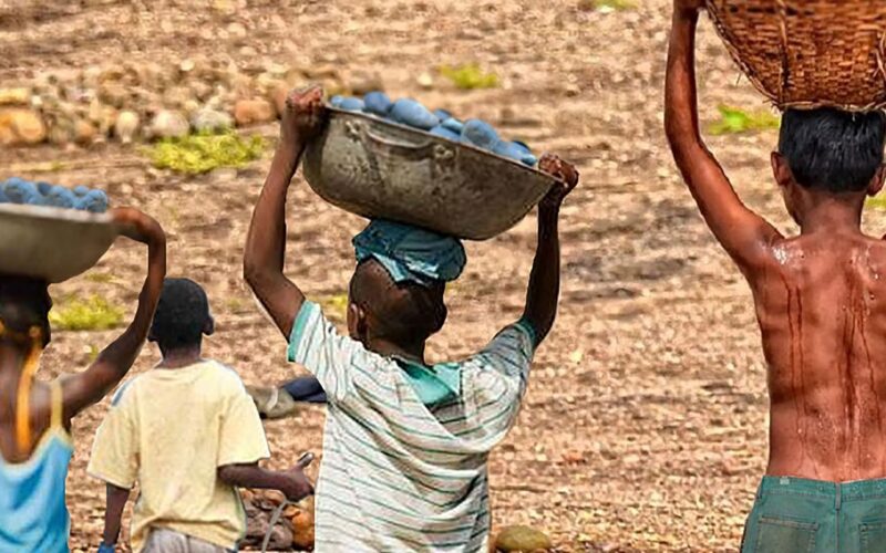 Mais de 6 mil crianças são resgatadas do trabalho infantil em 2 anos