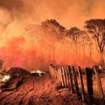 Ações da Operação Incêndios 2025 da PF iniciam pelo Pantanal