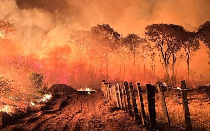 Ações da Operação Incêndios 2025 da PF iniciam pelo Pantanal