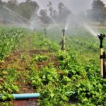 Adiado debate sobre descontos de energia elétrica em atividades de irrigação e aquacultura – Notícias