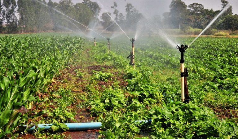 Adiado debate sobre descontos de energia elétrica em atividades de irrigação e aquacultura – Notícias
